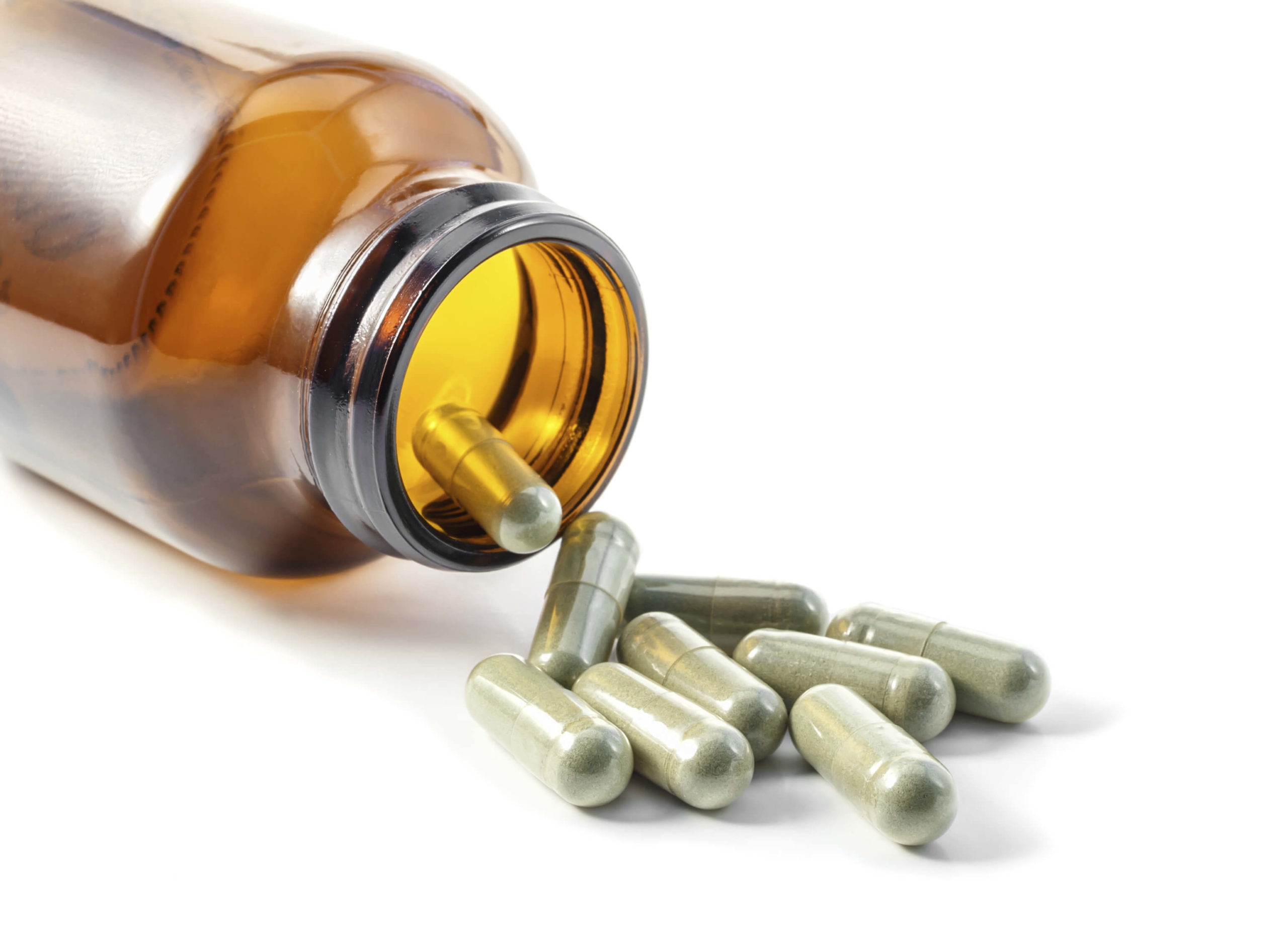 Important Supplements for Cats | Animal Wellness Magazine